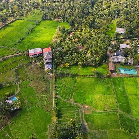Nelu Villa Σιγκιρίγια Εξωτερικό φωτογραφία